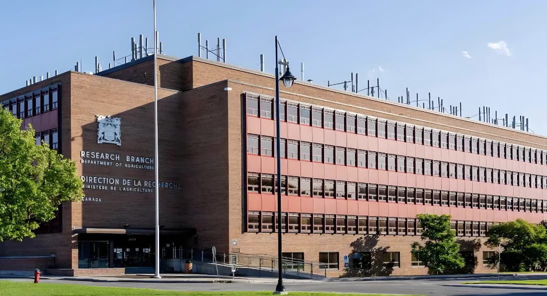 张宇考研数学年轻时照片