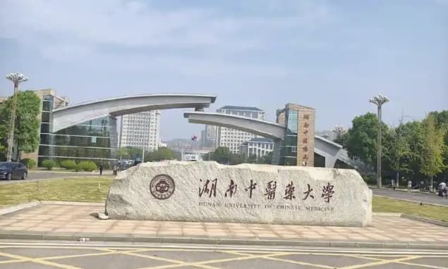 考研人数学学习情况